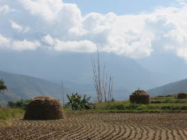 Hike to Chimi Lhakhang