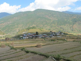 Scenery from the van