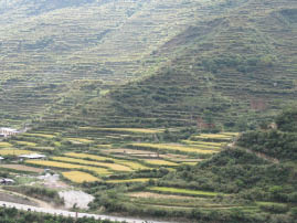 Scenery from the van