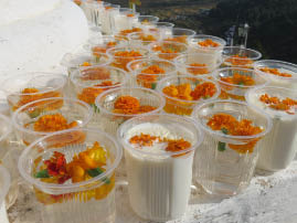 Sangchen Lhuendrup Choling Nunnery