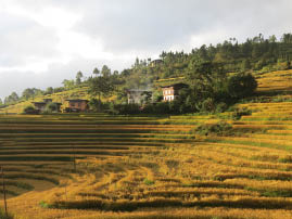 View from Meri Puensum Resort
