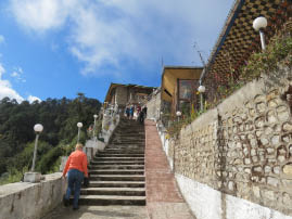 Monkey at Dochula Pass