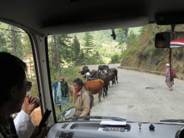 Road to Paro