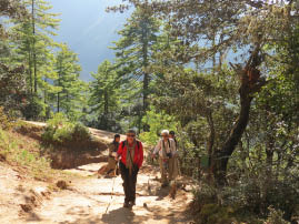 Hike to Tiger's Nest
