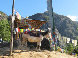 Hike to Tiger's Nest