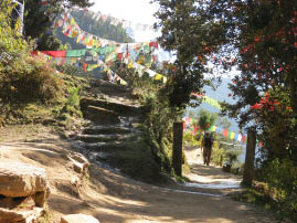 Hike to Tiger's Nest