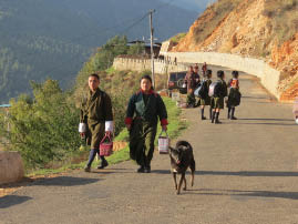 Road to Paro