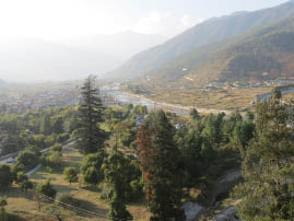 Back to Paro