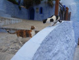 Chefchaouen