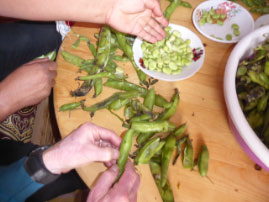 Home Visit in Houmer Village