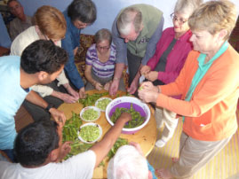 Home Visit in Houmer Village