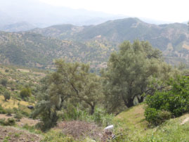 Home Visit in Houmer Village