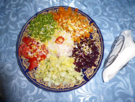 Home Visit in Houmer Village