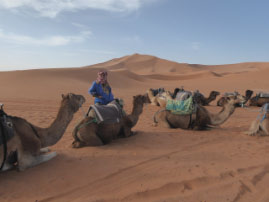 Camel ride