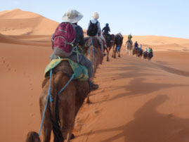 Camel ride