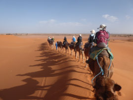 Camel ride