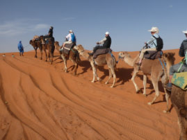 Camel ride