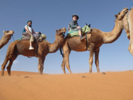 Camel ride