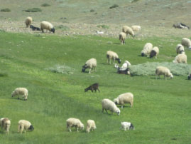 Over the High Atlas Mountains