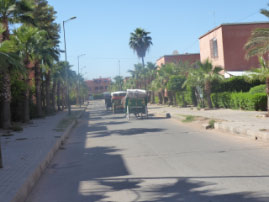 Carriage ride through Marrakechh