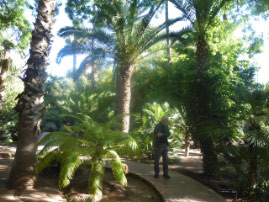 Jardin Majorelle