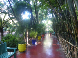 Jardin Majorelle