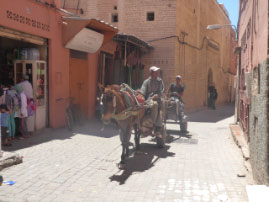 Marrakesh