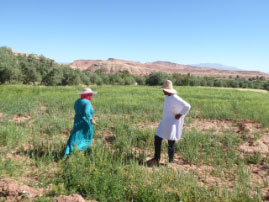 Ait Benhaddou-Day in the life