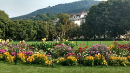 Baden-Baden