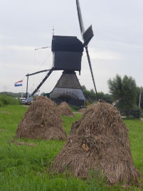 Windmills of Kinderdijk