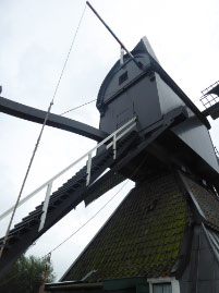 Windmills of Kinderdijk