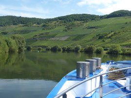 Cruising along the Mosel River