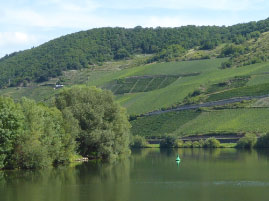 Cruising along the Mosel River