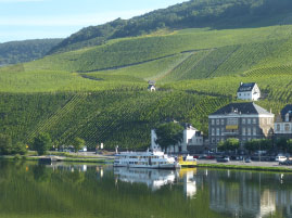 Cruising along the Mosel River