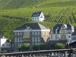 Cruising along the Mosel River