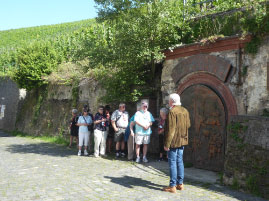 Bernkasteler Doctor Vinyard