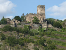 Cruising Along the Rhine