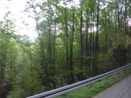 Black Forest National Park