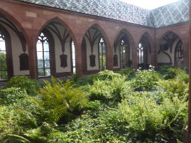 Münster Cathedral