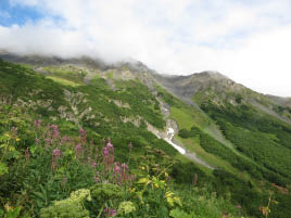 Harding Icefield Hike