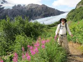 Harding Icefield Hike