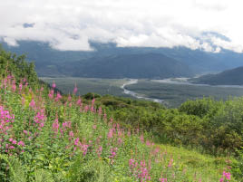 Harding Icefield Hike
