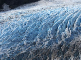 Harding Icefield Hike