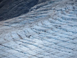 Harding Icefield Hike