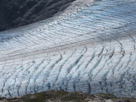 Harding Icefield Hike