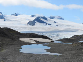 Harding Icefield Hike