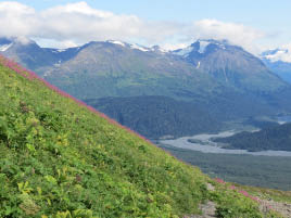 Harding Icefield Hike