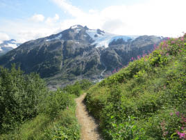 Harding Icefield Hike