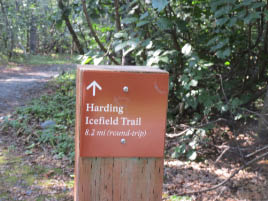 Harding Icefield Hike