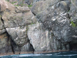 Kenai Fjords Boat Trip